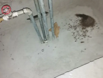 连平卫生间测漏水价格明细